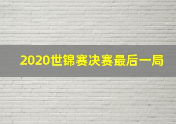 2020世锦赛决赛最后一局