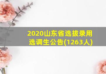 2020山东省选拔录用选调生公告(1263人)