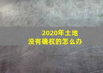 2020年土地没有确权的怎么办