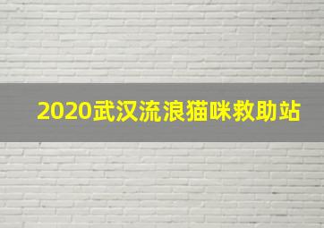 2020武汉流浪猫咪救助站