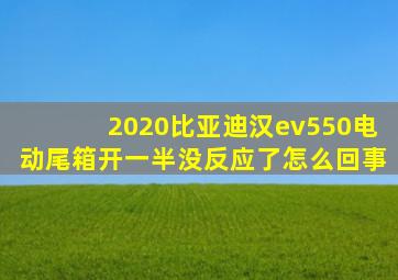 2020比亚迪汉ev550电动尾箱开一半没反应了怎么回事