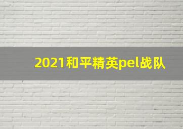 2021和平精英pel战队