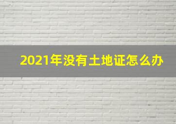 2021年没有土地证怎么办