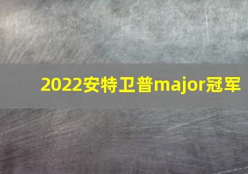 2022安特卫普major冠军