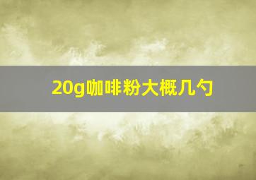 20g咖啡粉大概几勺