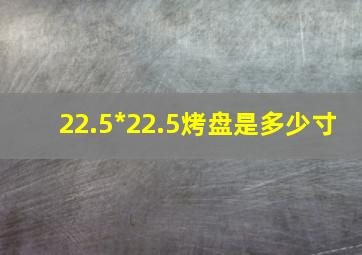 22.5*22.5烤盘是多少寸