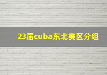 23届cuba东北赛区分组