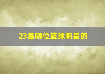 23是哪位篮球明星的