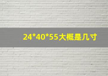 24*40*55大概是几寸