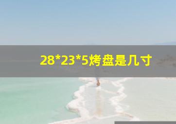 28*23*5烤盘是几寸