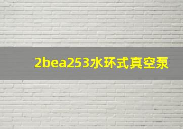 2bea253水环式真空泵