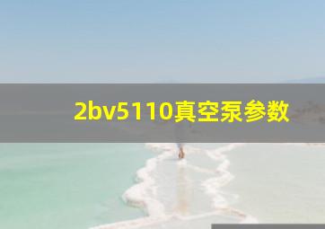 2bv5110真空泵参数