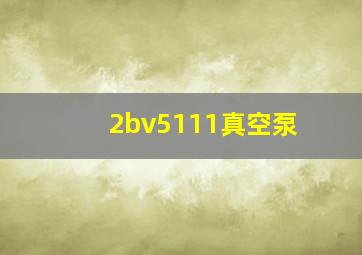 2bv5111真空泵