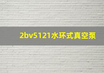 2bv5121水环式真空泵