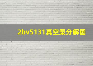 2bv5131真空泵分解图