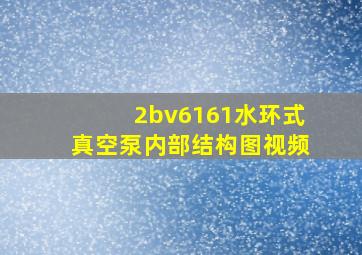 2bv6161水环式真空泵内部结构图视频