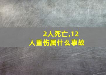 2人死亡,12人重伤属什么事故