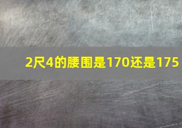 2尺4的腰围是170还是175