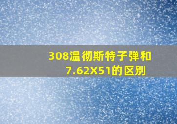 308温彻斯特子弹和7.62X51的区别