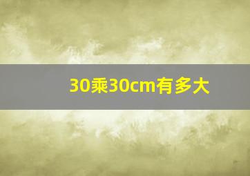 30乘30cm有多大