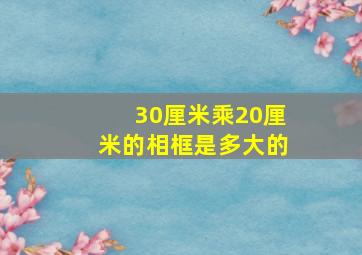 30厘米乘20厘米的相框是多大的