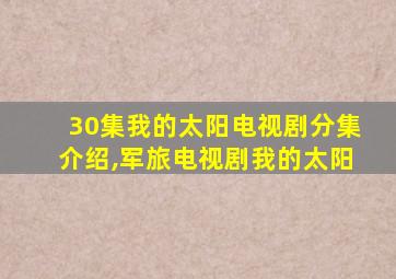 30集我的太阳电视剧分集介绍,军旅电视剧我的太阳