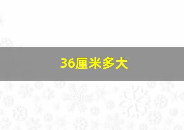 36厘米多大