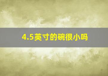 4.5英寸的碗很小吗