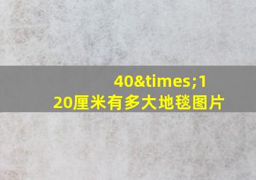 40×120厘米有多大地毯图片