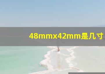 48mmx42mm是几寸