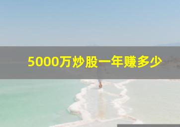 5000万炒股一年赚多少