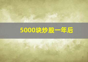 5000块炒股一年后