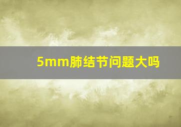 5mm肺结节问题大吗