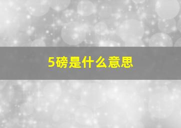 5磅是什么意思