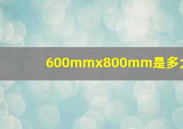 600mmx800mm是多大