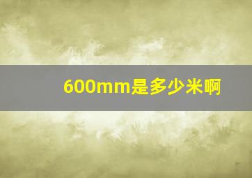 600mm是多少米啊