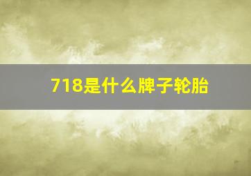 718是什么牌子轮胎