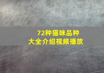 72种猫咪品种大全介绍视频播放