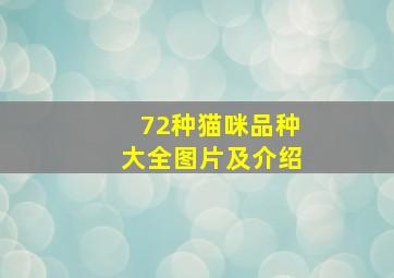 72种猫咪品种大全图片及介绍