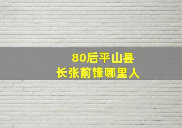 80后平山县长张前锋哪里人