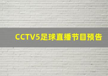 CCTV5足球直播节目预告