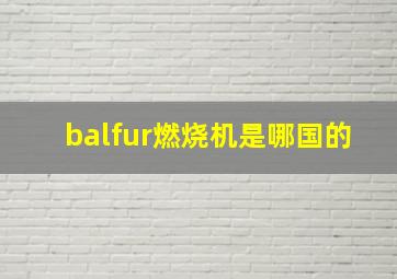 balfur燃烧机是哪国的