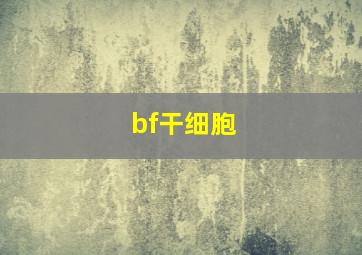 bf干细胞