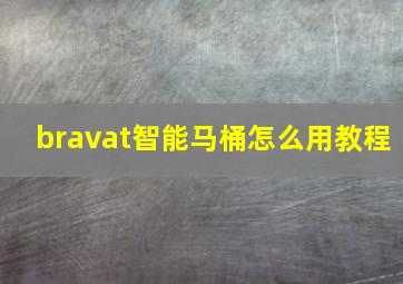 bravat智能马桶怎么用教程