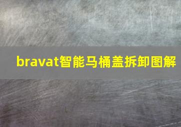 bravat智能马桶盖拆卸图解