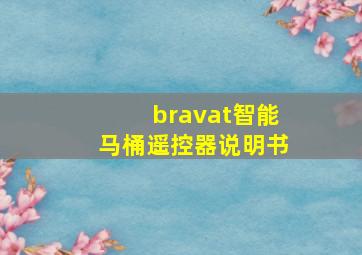 bravat智能马桶遥控器说明书