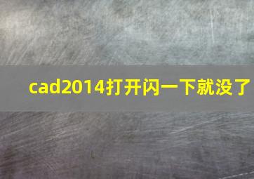 cad2014打开闪一下就没了