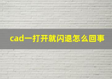 cad一打开就闪退怎么回事