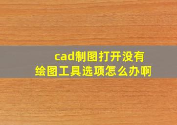 cad制图打开没有绘图工具选项怎么办啊