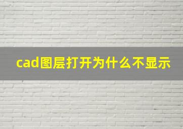 cad图层打开为什么不显示